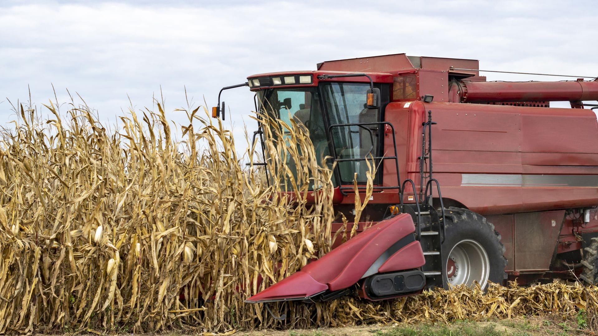 Illustration d’entreprise d’agri-transformation